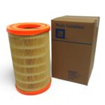 Elemento Filtro Aire S10 01/ 2.4