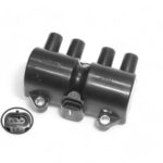 Bobina Ignicion Corsa 02/