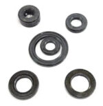 Kit De Retenes P/moto C110/px110/fair110. Gtm00028 - Imagen 2