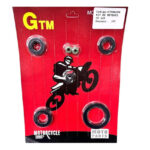 Kit De Retenes P/moto C110/px110/fair110. Gtm00028
