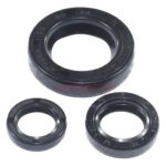 Kit De Retenes Xre 190 / Nxr-cbf 160. P/moto